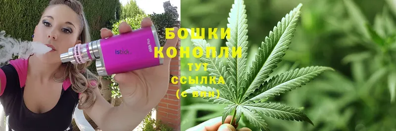 Каннабис Amnesia  shop наркотические препараты  Алейск 